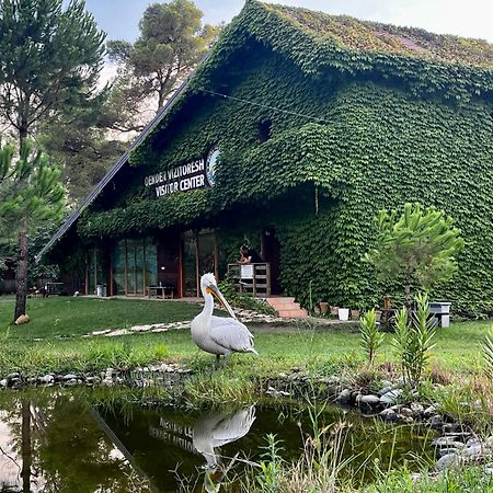 H&A Guest House Divjake Esterno foto